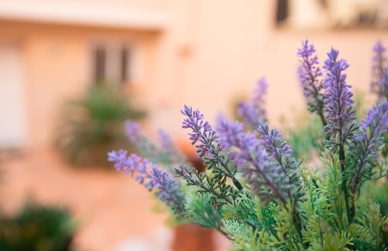 דירות לצ'ה Il Cortile Delle Esperidi מראה חיצוני תמונה